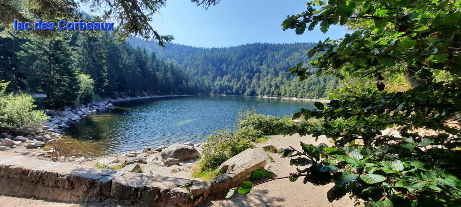 Gite Au Petit Verger Masevaux-Niederbruck المظهر الخارجي الصورة